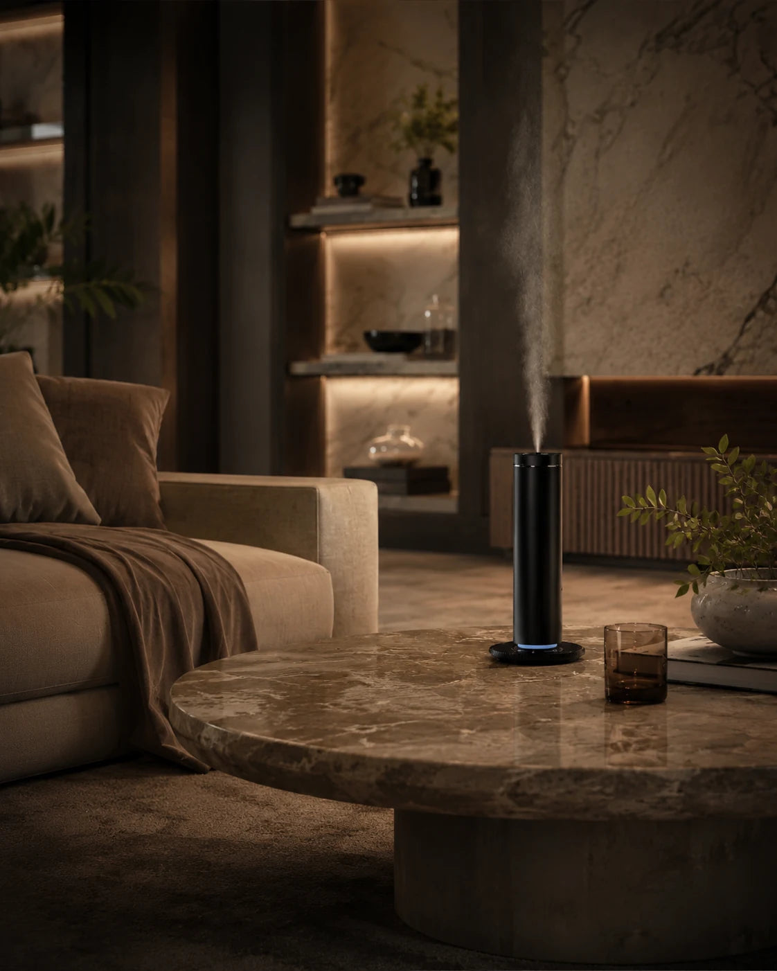 Living room with Borisov Home diffuser